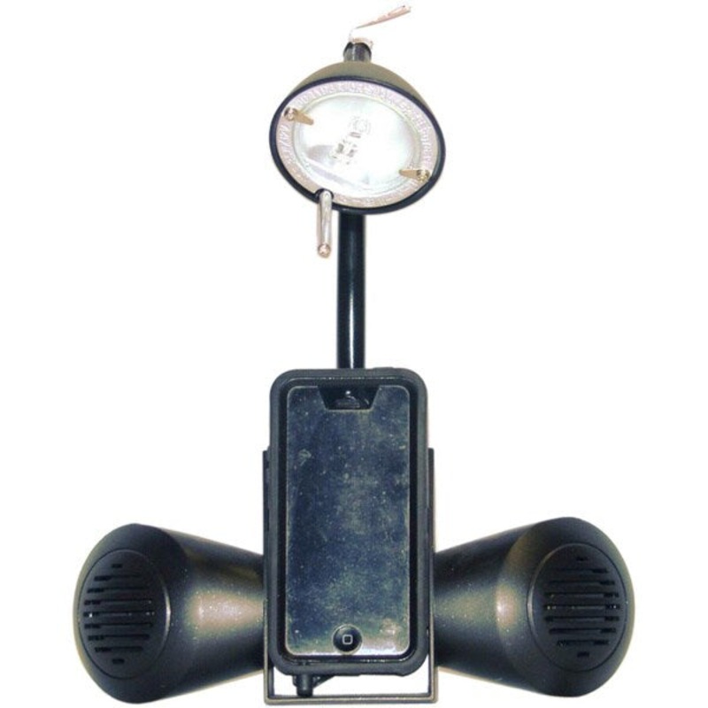 Crown Lighting 1-light Black Media Desk Lamp