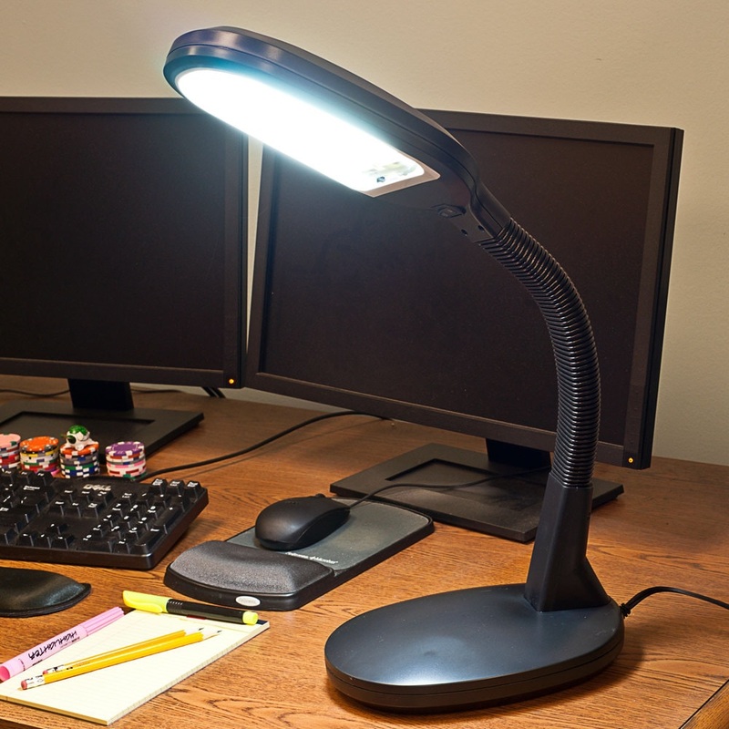 Porch & Den Gooseneck Natural Sunlight LED Desk Lamp