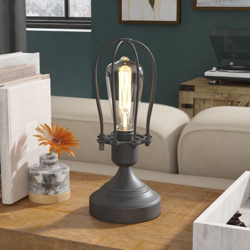 Industrial Cage Table Lamp with Bulb, 11.5 inch Tall, Charcoal Gray
