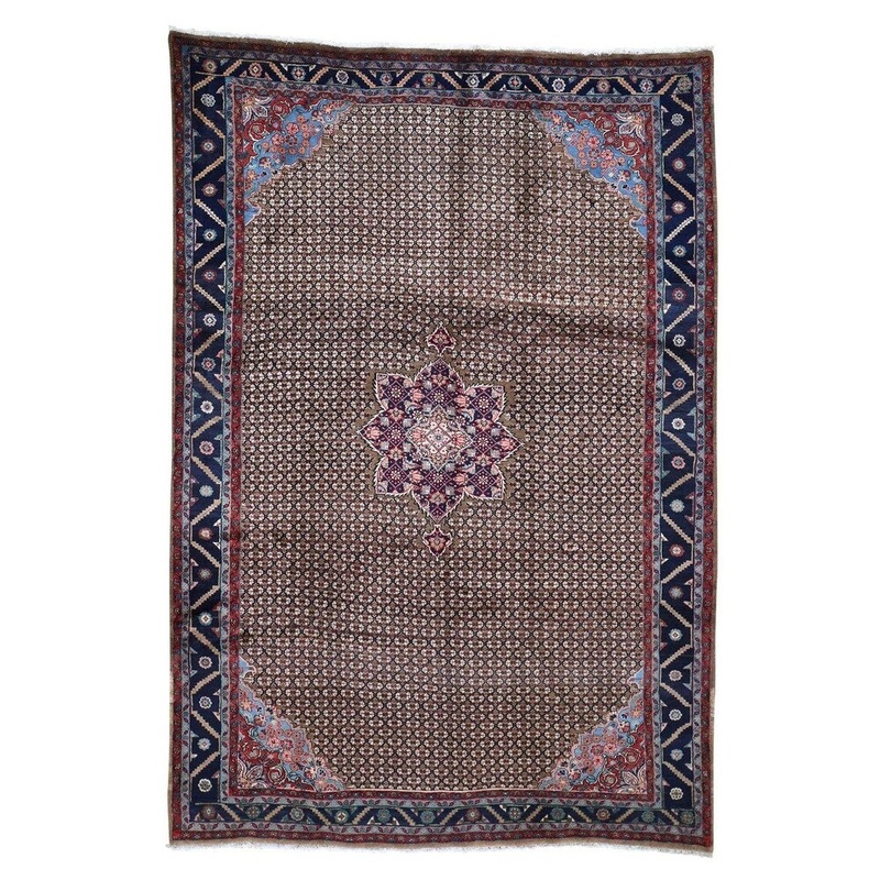 Shahbanu Rugs Brown New Persian Serab Camel Hair Pure Wool Hand-knotted Oriental Rug (6'10" x 10'0") - 6'10" x 10'0"